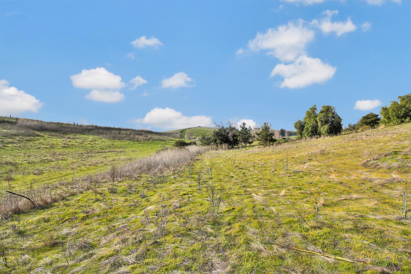 01 Auguste Court, MILPITAS, California 95035, ,Lots And Land,For Sale,Auguste Court,40961706