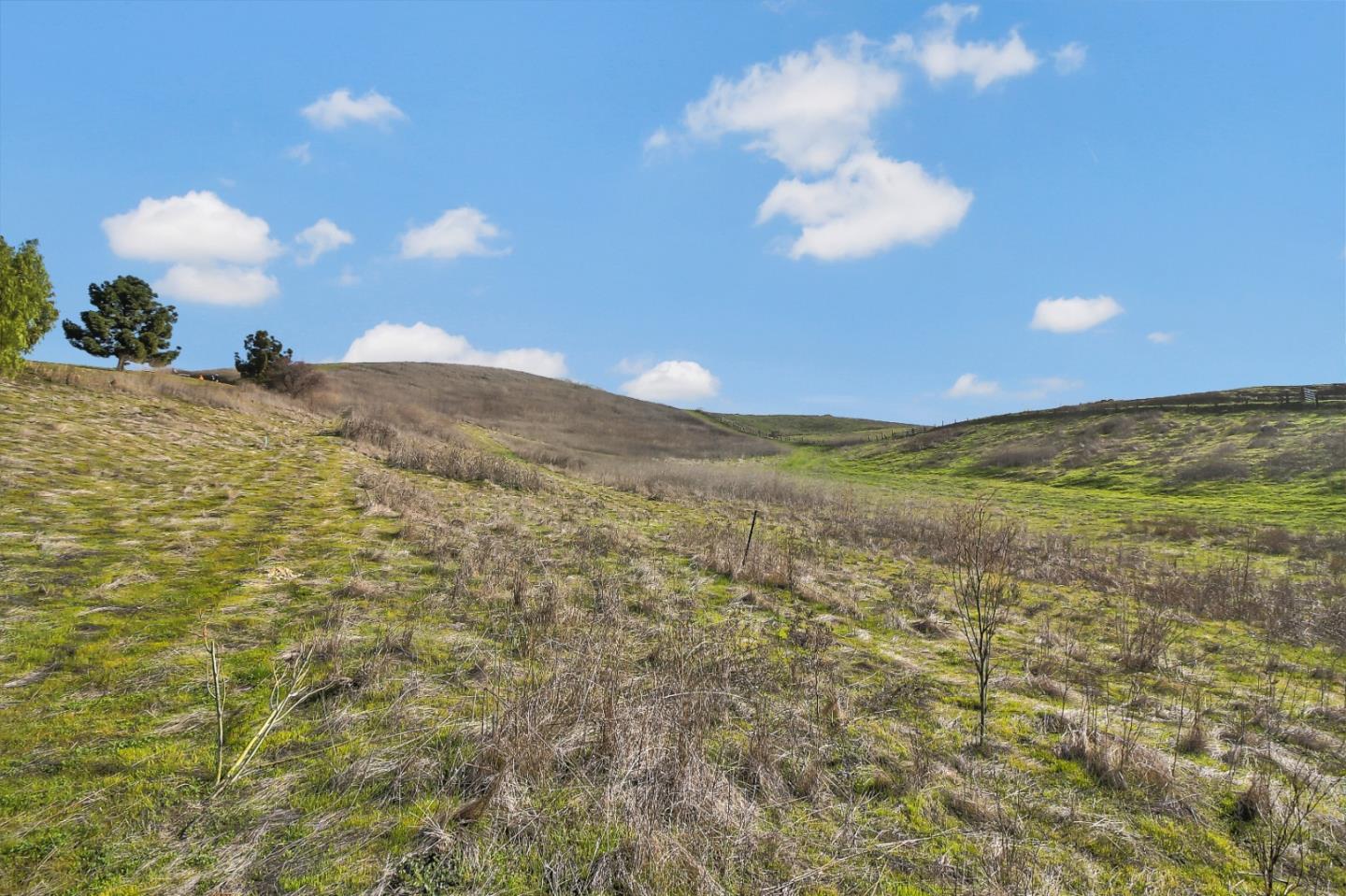 01 Auguste Court, MILPITAS, California 95035, ,Lots And Land,For Sale,Auguste Court,40961706