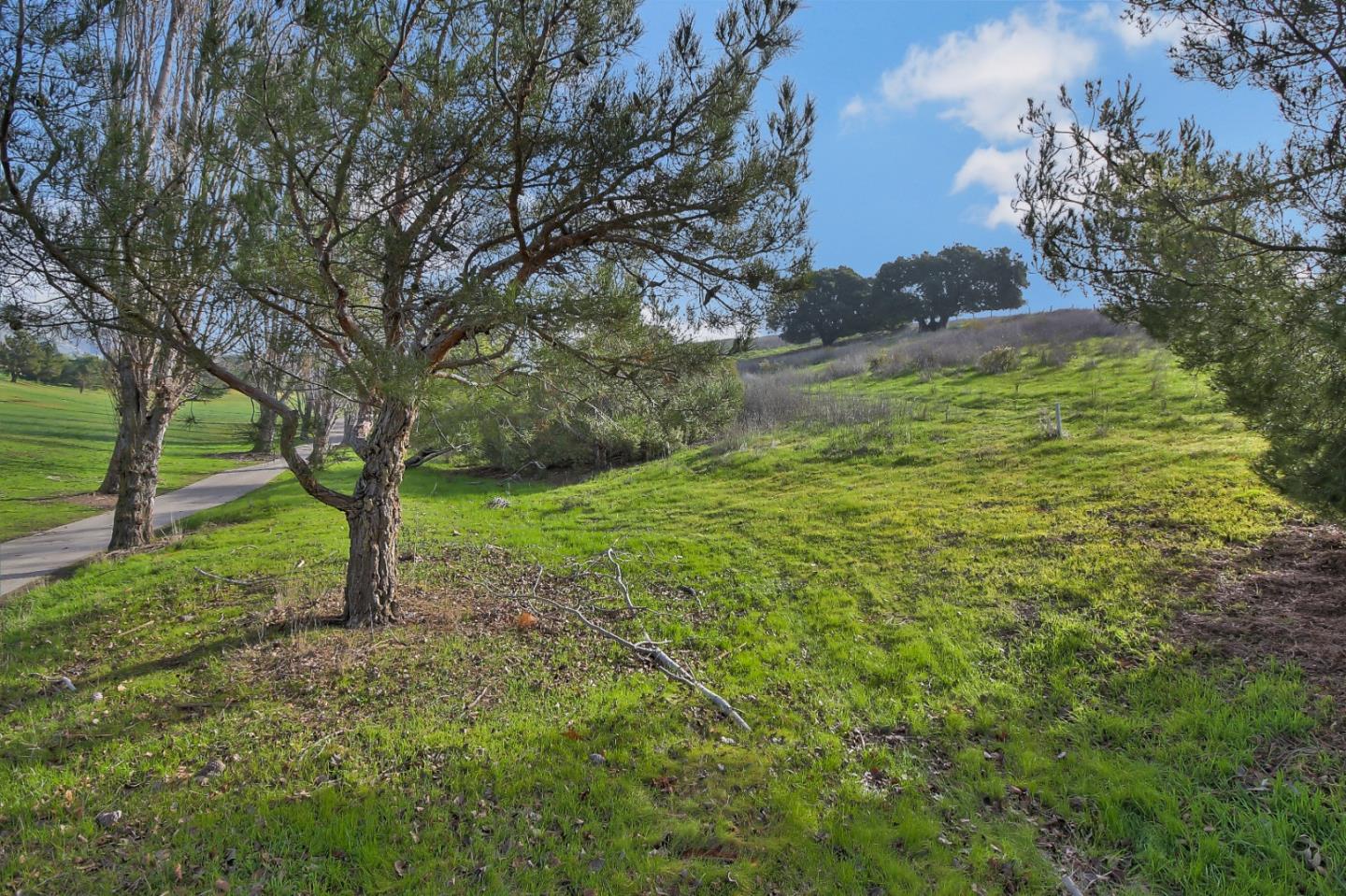 01 Auguste Court, MILPITAS, California 95035, ,Lots And Land,For Sale,Auguste Court,40961706