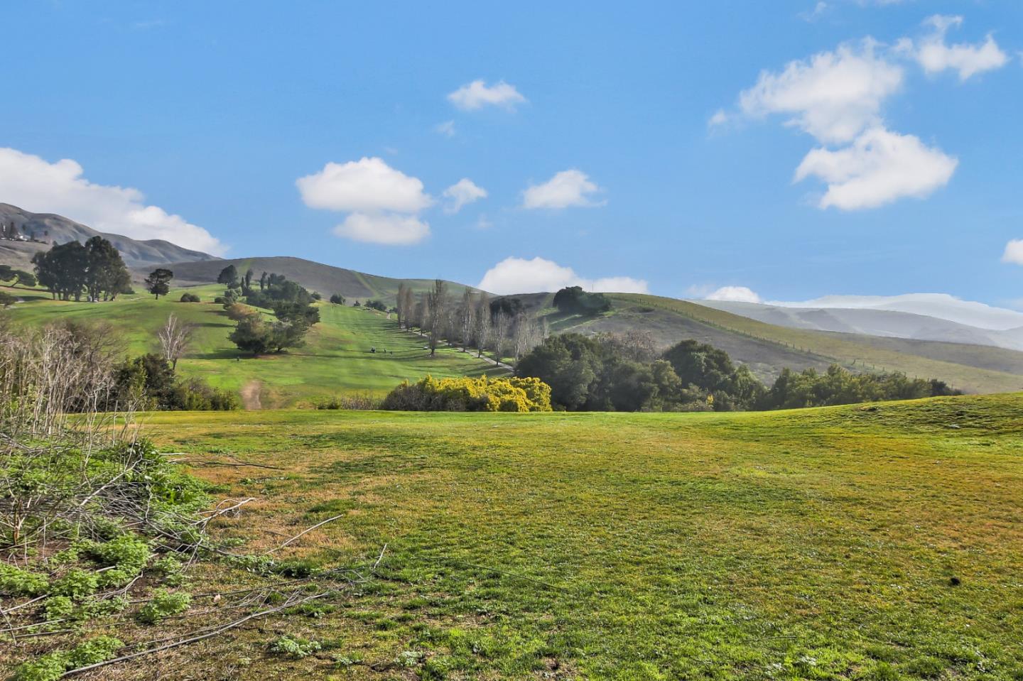 01 Auguste Court, MILPITAS, California 95035, ,Lots And Land,For Sale,Auguste Court,40961706