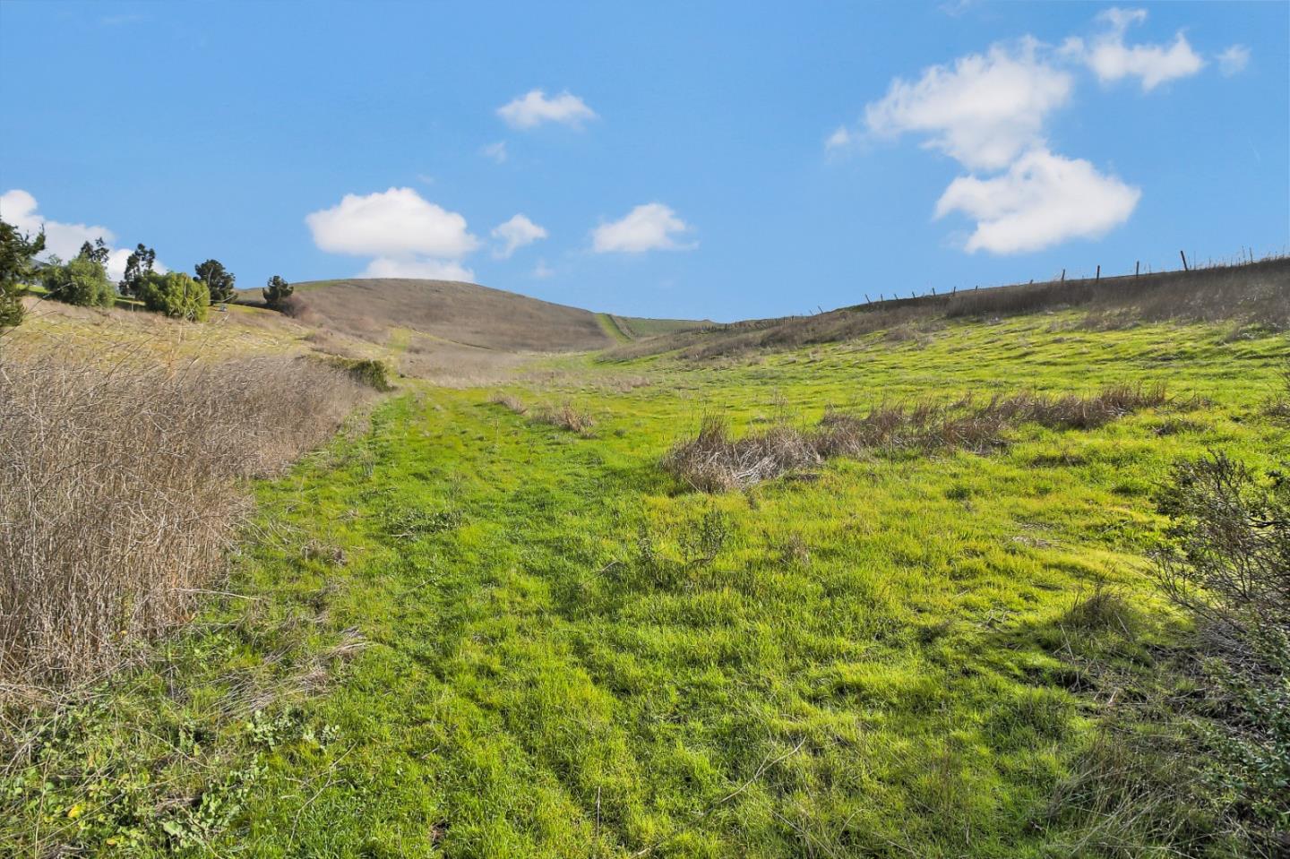 01 Auguste Court, MILPITAS, California 95035, ,Lots And Land,For Sale,Auguste Court,40961706