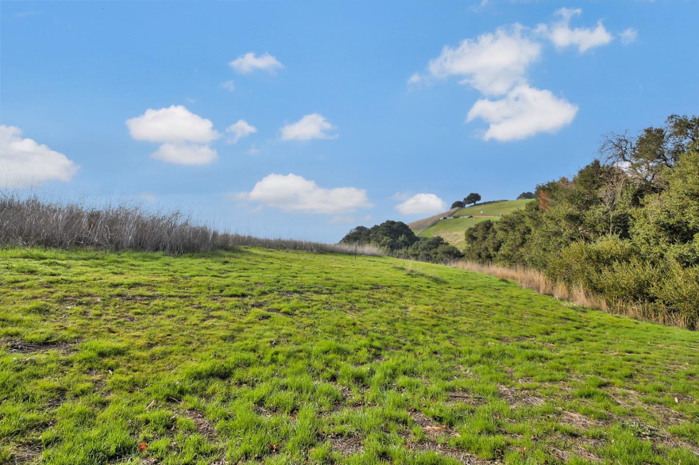 01 Auguste Court, MILPITAS, California 95035, ,Lots And Land,For Sale,Auguste Court,40961706