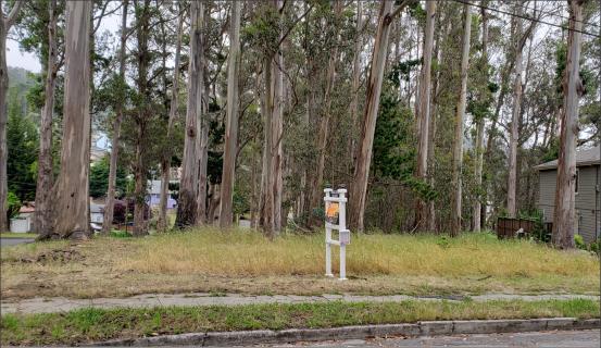 000 Avenue Balboa, EL GRANADA, California 94018, ,Lots And Land,For Sale,Avenue Balboa,40961883