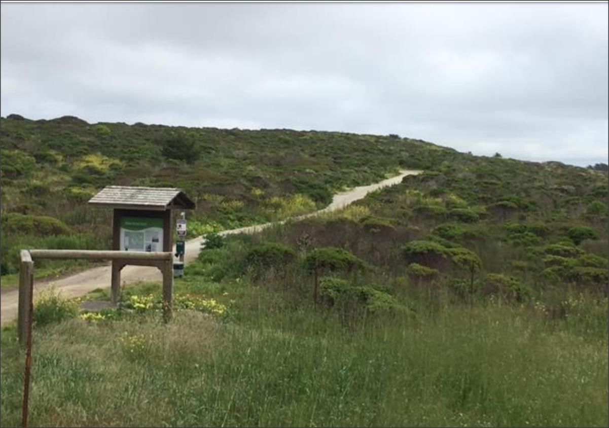 000 Avenue Balboa, EL GRANADA, California 94018, ,Lots And Land,For Sale,Avenue Balboa,40961883