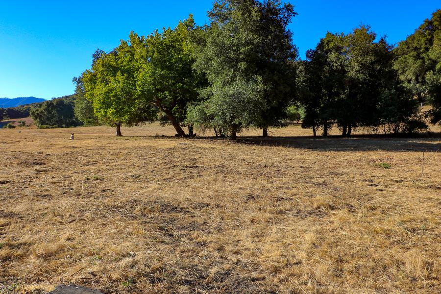 2 Via Vaquera, CARMEL, California 93923, ,Lots And Land,For Sale,Via Vaquera,40961884