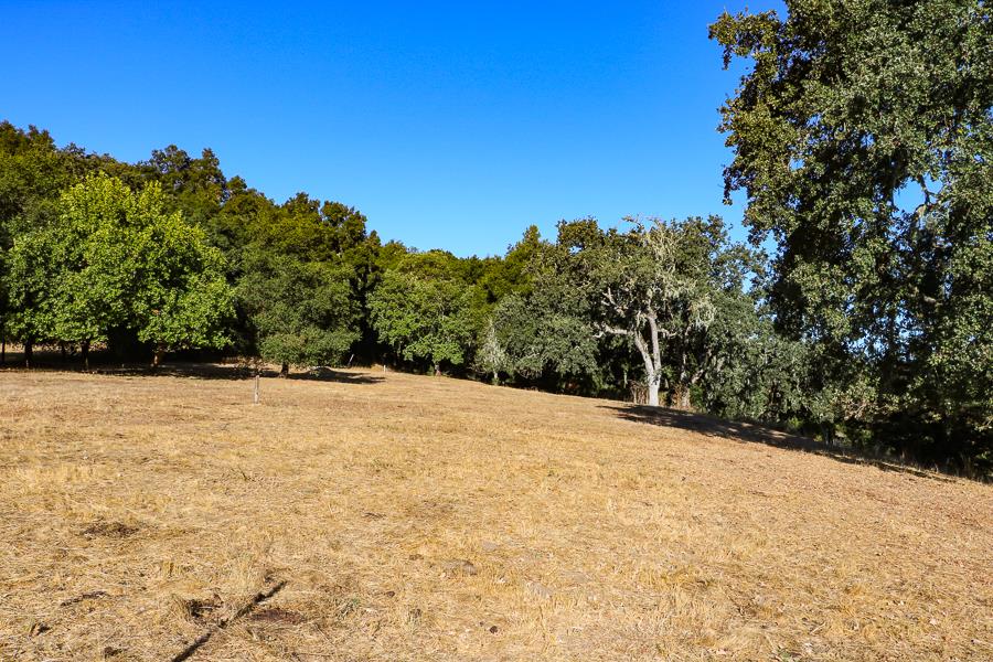 2 Via Vaquera, CARMEL, California 93923, ,Lots And Land,For Sale,Via Vaquera,40961884