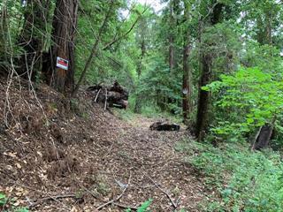 200 Margaret Drive, BOULDER CREEK, California 95006, ,Lots And Land,For Sale,Margaret Drive,40965136