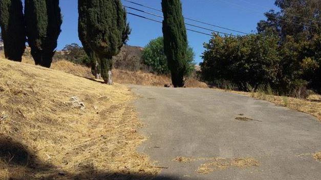 841 Boulder Drive, SAN JOSE, California 95132, ,Lots And Land,For Sale,Boulder Drive,40961933