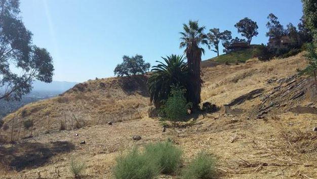 841 Boulder Drive, SAN JOSE, California 95132, ,Lots And Land,For Sale,Boulder Drive,40961933