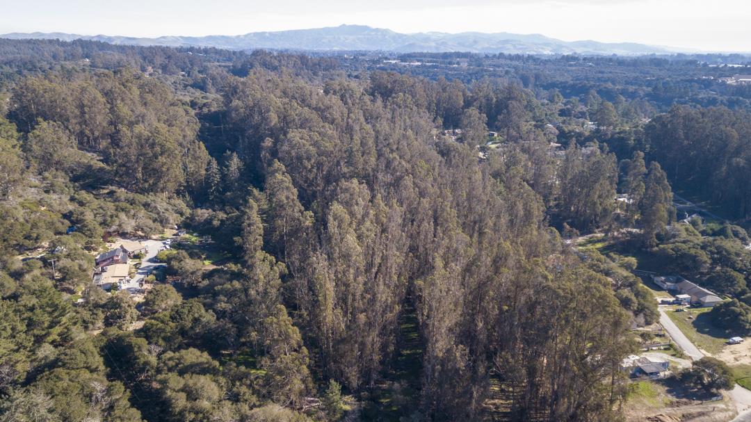 0 Paradise Canyon Road, SALINAS, California 93907, ,Lots And Land,For Sale,Paradise Canyon Road,40961981