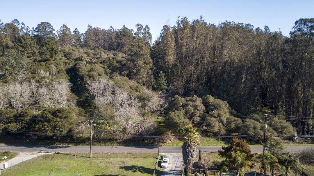 0 Paradise Canyon Road, SALINAS, California 93907, ,Lots And Land,For Sale,Paradise Canyon Road,40961981