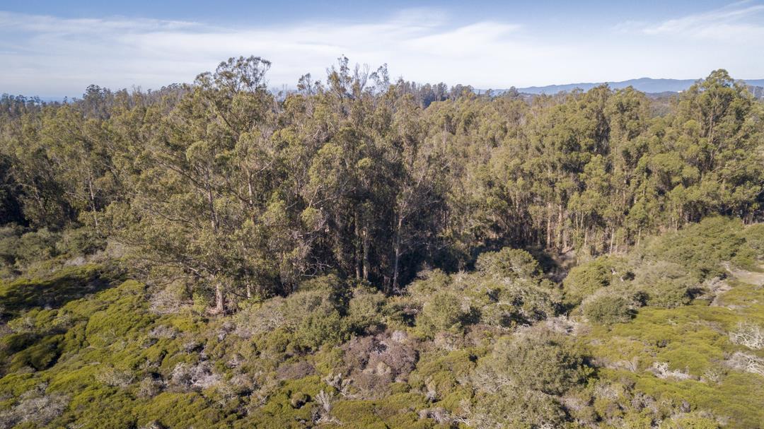 0 Paradise Canyon Road, SALINAS, California 93907, ,Lots And Land,For Sale,Paradise Canyon Road,40961981