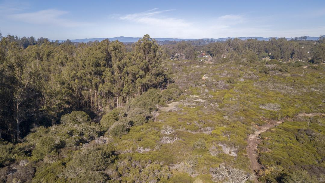 0 Paradise Canyon Road, SALINAS, California 93907, ,Lots And Land,For Sale,Paradise Canyon Road,40961981