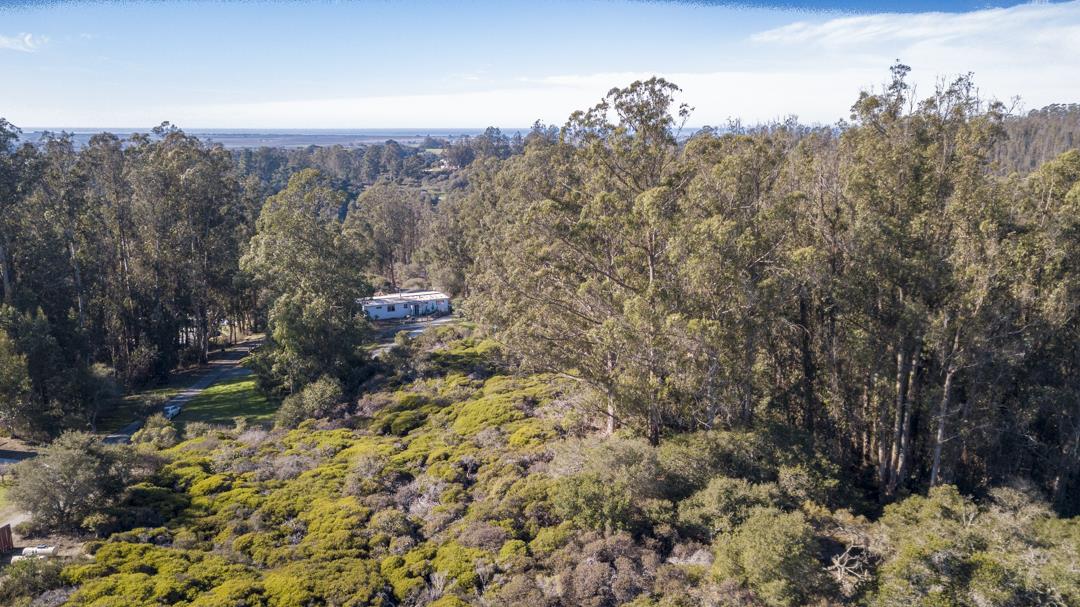 0 Paradise Canyon Road, SALINAS, California 93907, ,Lots And Land,For Sale,Paradise Canyon Road,40961981