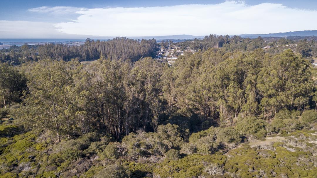 0 Paradise Canyon Road, SALINAS, California 93907, ,Lots And Land,For Sale,Paradise Canyon Road,40961981