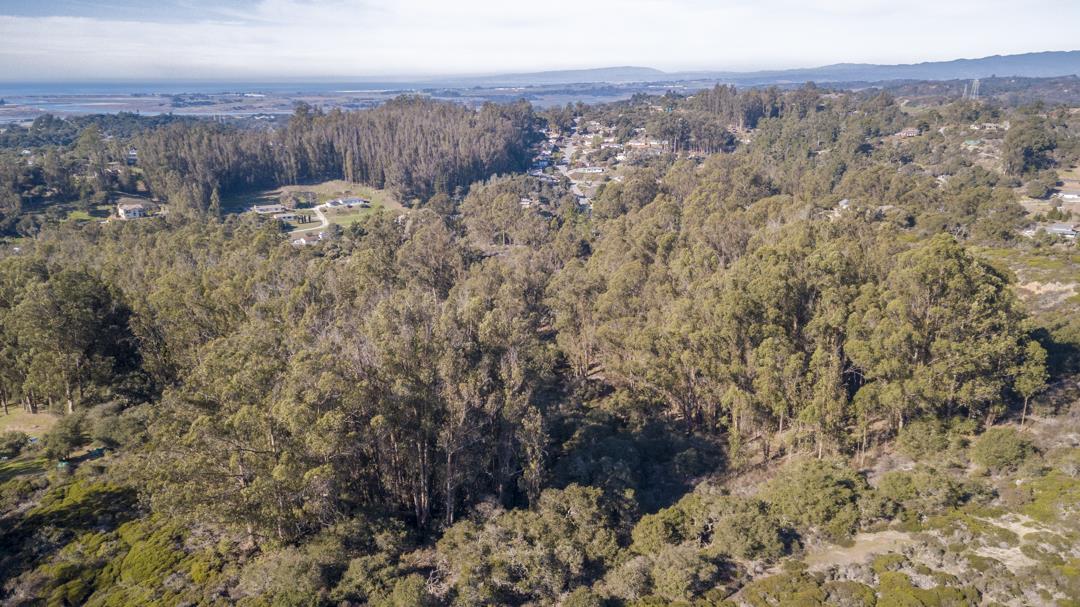 0 Paradise Canyon Road, SALINAS, California 93907, ,Lots And Land,For Sale,Paradise Canyon Road,40961981