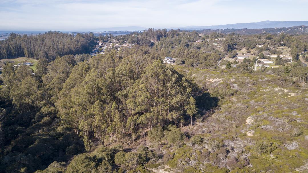 0 Paradise Canyon Road, SALINAS, California 93907, ,Lots And Land,For Sale,Paradise Canyon Road,40961981