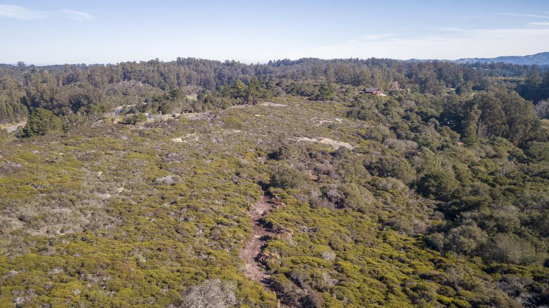 0 Paradise Canyon Road, SALINAS, California 93907, ,Lots And Land,For Sale,Paradise Canyon Road,40961981