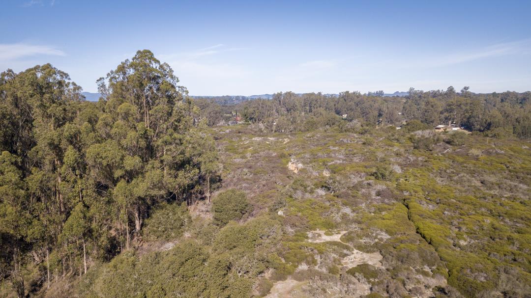 0 Paradise Canyon Road, SALINAS, California 93907, ,Lots And Land,For Sale,Paradise Canyon Road,40961981