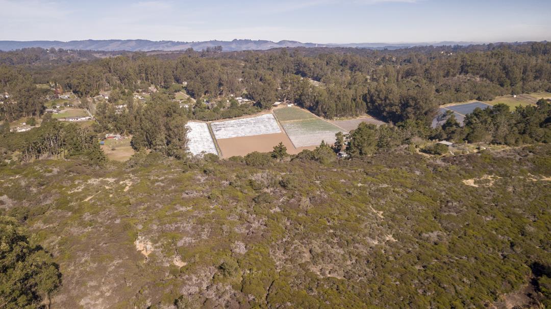0 Paradise Canyon Road, SALINAS, California 93907, ,Lots And Land,For Sale,Paradise Canyon Road,40961981