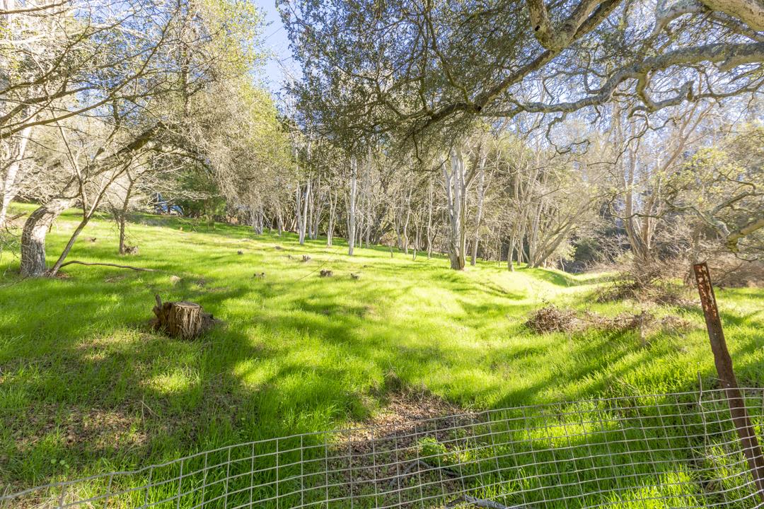 0 Paradise Canyon Road, SALINAS, California 93907, ,Lots And Land,For Sale,Paradise Canyon Road,40961981