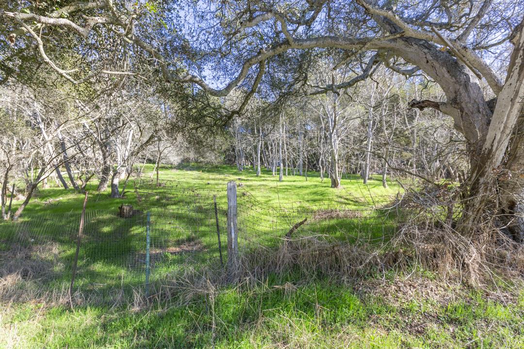 0 Paradise Canyon Road, SALINAS, California 93907, ,Lots And Land,For Sale,Paradise Canyon Road,40961981
