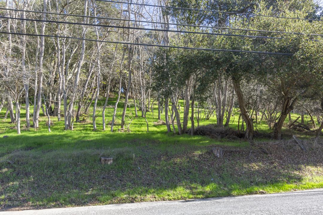 0 Paradise Canyon Road, SALINAS, California 93907, ,Lots And Land,For Sale,Paradise Canyon Road,40961981