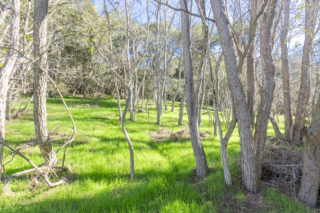 0 Paradise Canyon Road, SALINAS, California 93907, ,Lots And Land,For Sale,Paradise Canyon Road,40961981