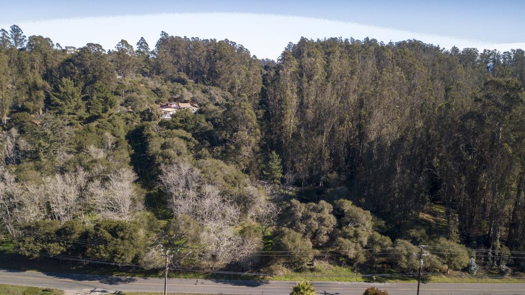 0 Paradise Canyon Road, SALINAS, California 93907, ,Lots And Land,For Sale,Paradise Canyon Road,40961981