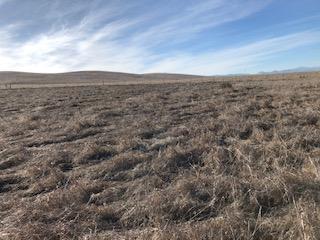 0 Paris Valley, SAN ARDO, California 93450, ,Lots And Land,For Sale,Paris Valley,40962004