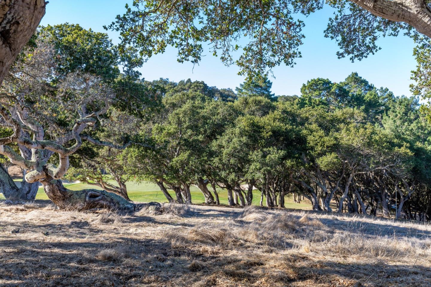 25520 Via Malpaso (Lot 92), CARMEL, California 93923, ,Lots And Land,For Sale,Via Malpaso (Lot 92),40976038