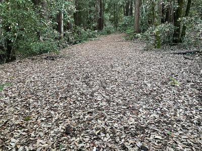 0 Murphy Canyon Road, GILROY, California 95020, ,Lots And Land,For Sale,Murphy Canyon Road,40962023