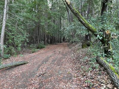 0 Murphy Canyon Road, GILROY, California 95020, ,Lots And Land,For Sale,Murphy Canyon Road,40962023