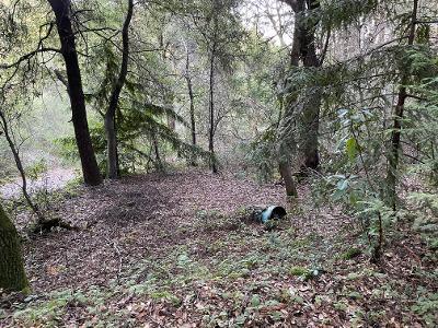 0 Murphy Canyon Road, GILROY, California 95020, ,Lots And Land,For Sale,Murphy Canyon Road,40962023