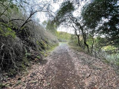 0 Murphy Canyon Road, GILROY, California 95020, ,Lots And Land,For Sale,Murphy Canyon Road,40962023