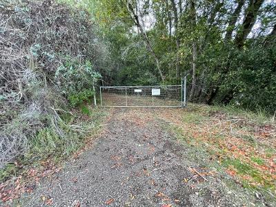 0 Murphy Canyon Road, GILROY, California 95020, ,Lots And Land,For Sale,Murphy Canyon Road,40962023