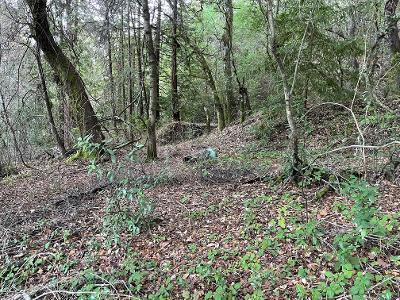 0 Murphy Canyon Road, GILROY, California 95020, ,Lots And Land,For Sale,Murphy Canyon Road,40962023