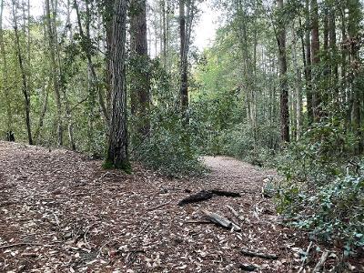 0 Murphy Canyon Road, GILROY, California 95020, ,Lots And Land,For Sale,Murphy Canyon Road,40962023