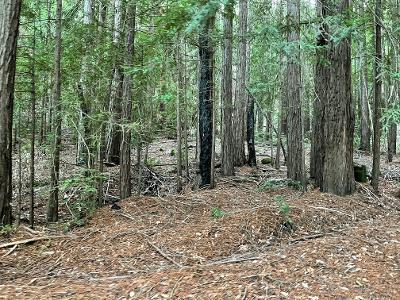 0 Murphy Canyon Road, GILROY, California 95020, ,Lots And Land,For Sale,Murphy Canyon Road,40962023