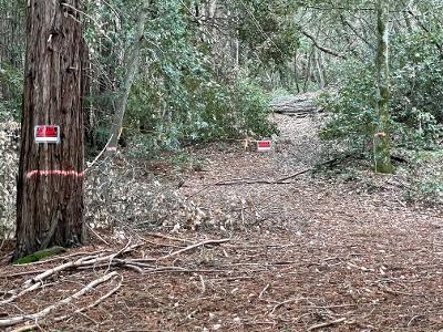 0 Murphy Canyon Road, GILROY, California 95020, ,Lots And Land,For Sale,Murphy Canyon Road,40962023