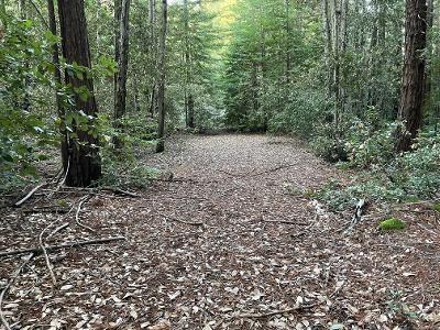 0 Murphy Canyon Road, GILROY, California 95020, ,Lots And Land,For Sale,Murphy Canyon Road,40962023