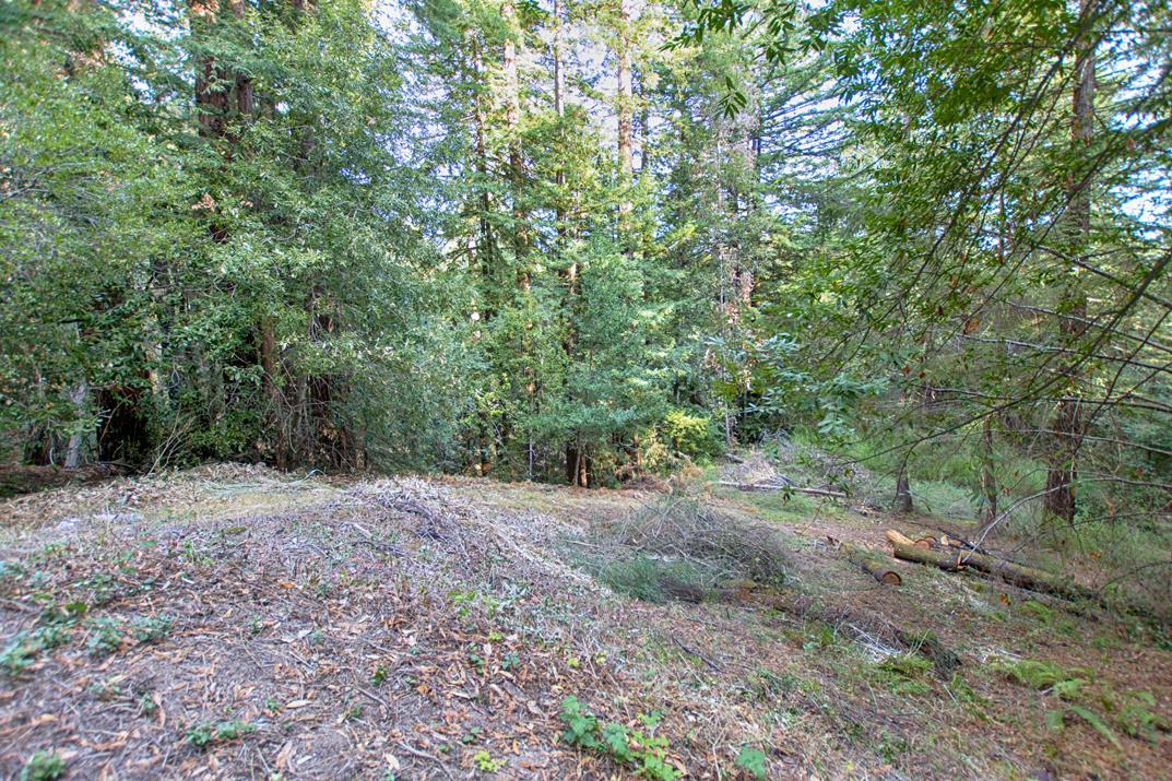 00 Vine Hill Road, SANTA CRUZ, California 95065, ,Lots And Land,For Sale,Vine Hill Road,40962075