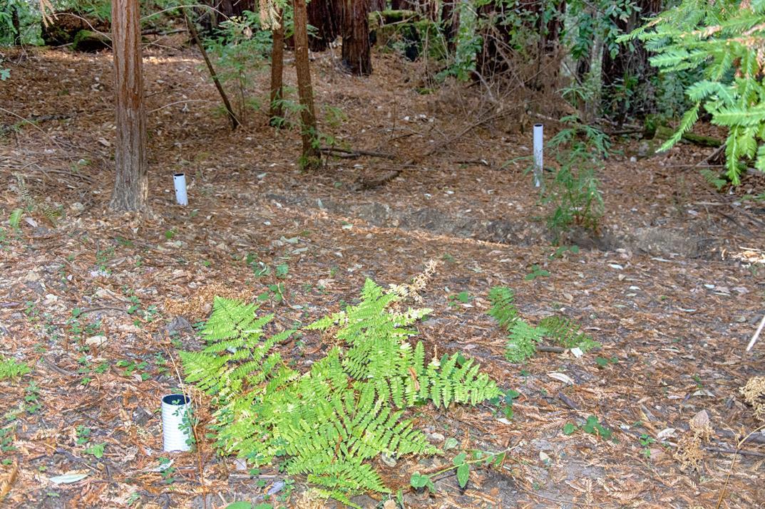 00 Vine Hill Road, SANTA CRUZ, California 95065, ,Lots And Land,For Sale,Vine Hill Road,40962075