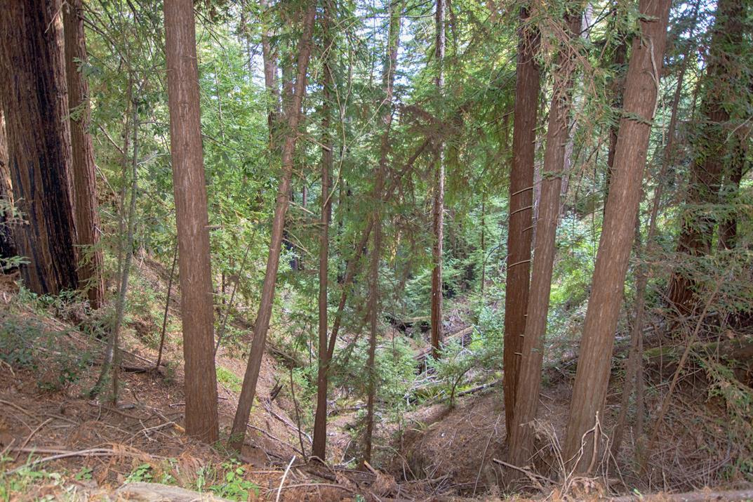 00 Vine Hill Road, SANTA CRUZ, California 95065, ,Lots And Land,For Sale,Vine Hill Road,40962075