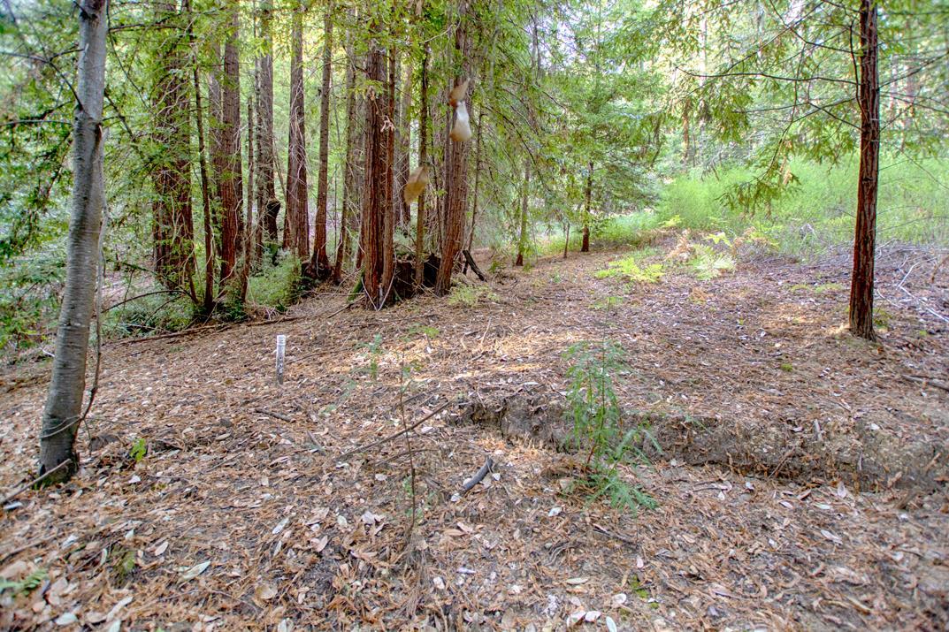 00 Vine Hill Road, SANTA CRUZ, California 95065, ,Lots And Land,For Sale,Vine Hill Road,40962075