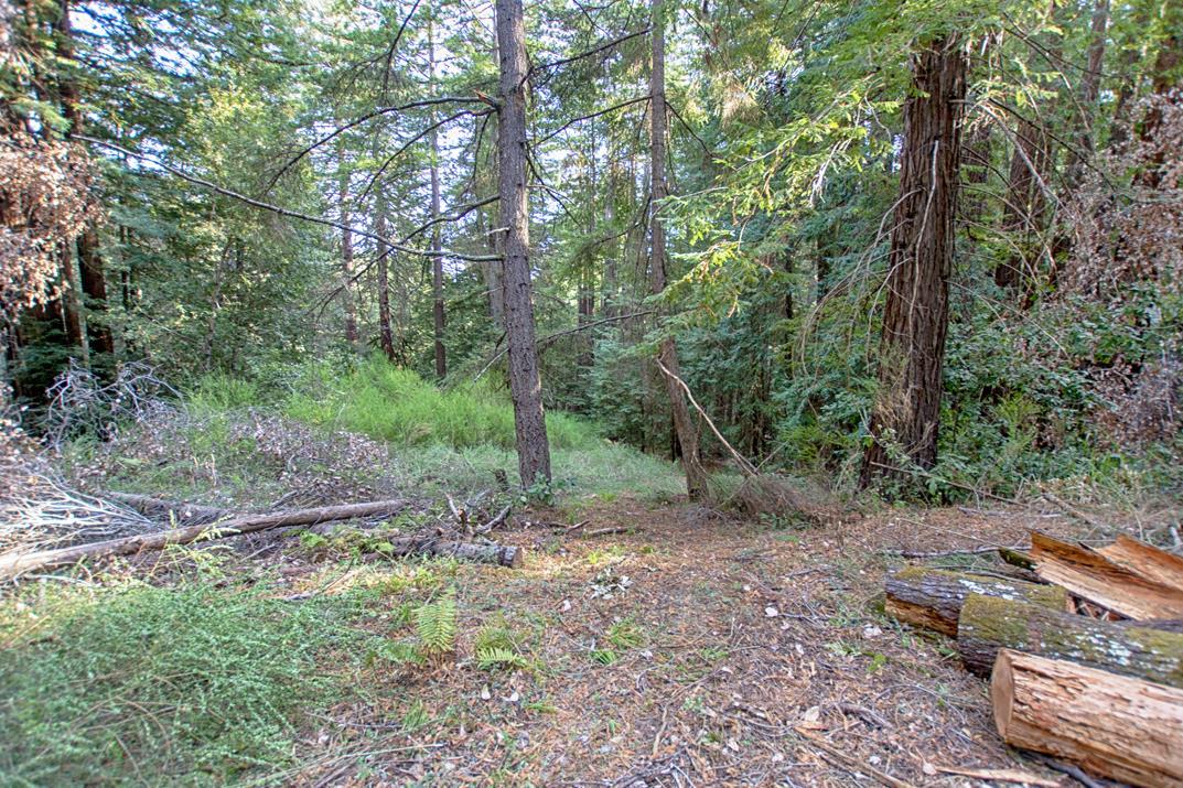 00 Vine Hill Road, SANTA CRUZ, California 95065, ,Lots And Land,For Sale,Vine Hill Road,40962075