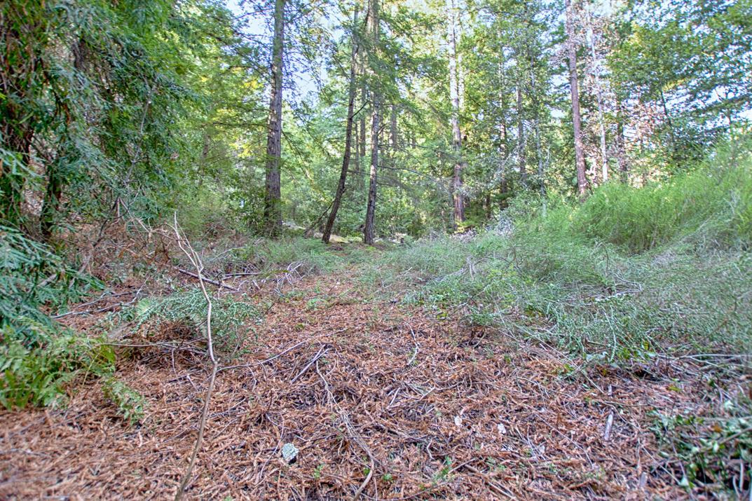 00 Vine Hill Road, SANTA CRUZ, California 95065, ,Lots And Land,For Sale,Vine Hill Road,40962075