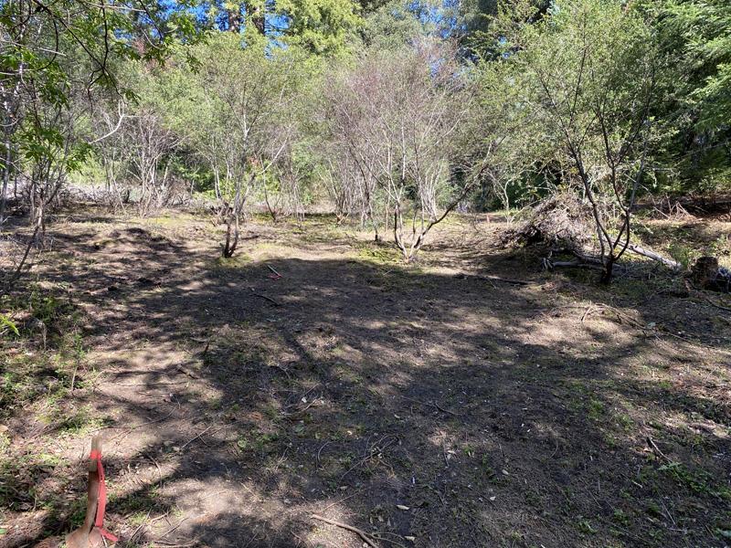 25555 Hutchinson, LOS GATOS, California 95033, ,Lots And Land,For Sale,Hutchinson,40962088