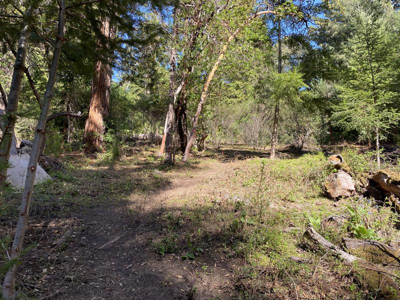 25555 Hutchinson, LOS GATOS, California 95033, ,Lots And Land,For Sale,Hutchinson,40962088