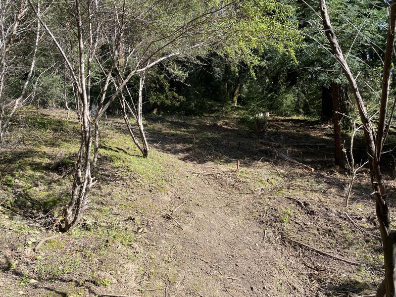 25555 Hutchinson, LOS GATOS, California 95033, ,Lots And Land,For Sale,Hutchinson,40962088